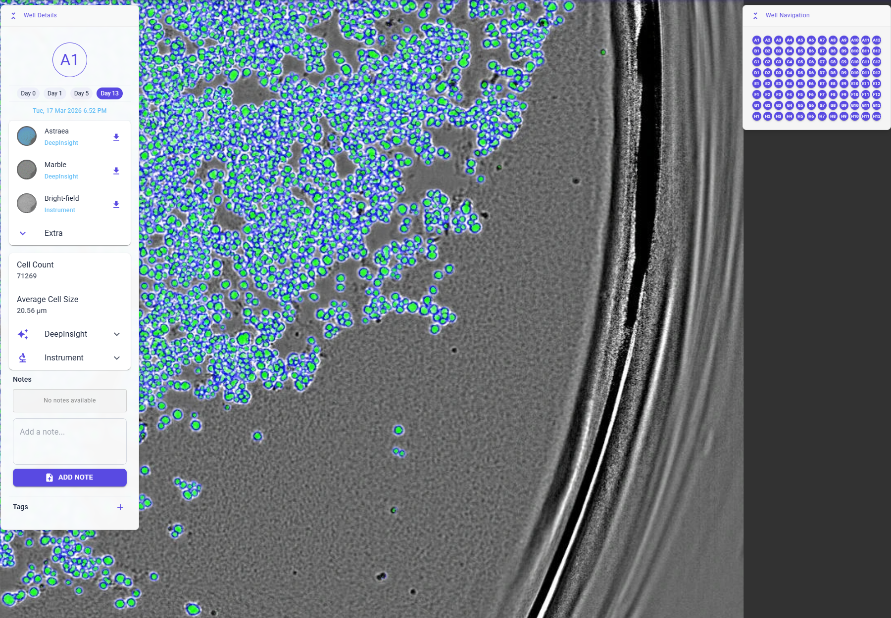 DeepInsight well and image viewer